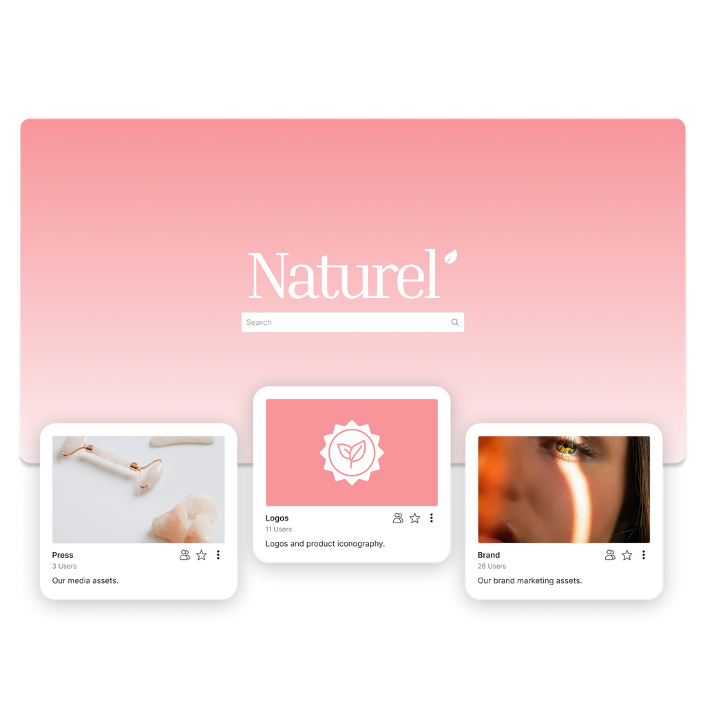 A customized brand portal for the Naturel skincare brand showing kits for press, logos and their brand.
