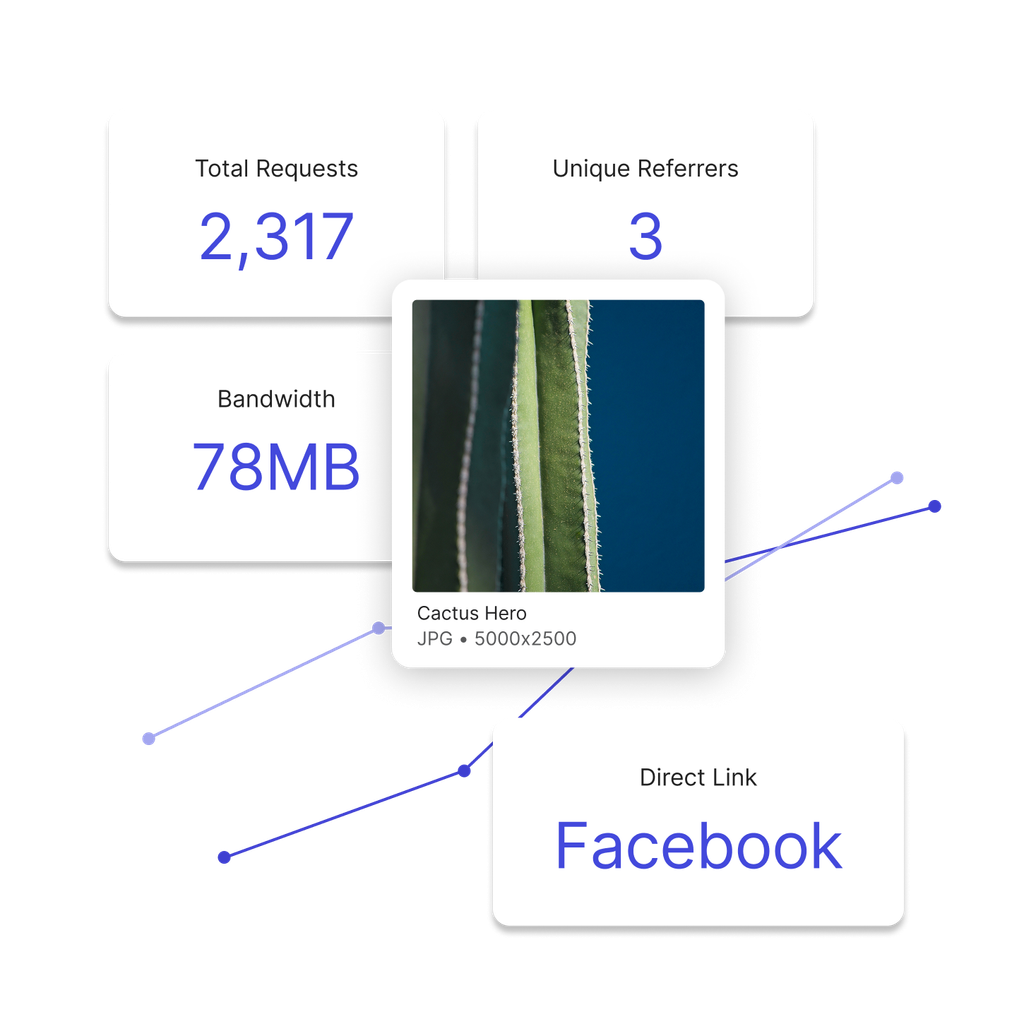 An image asset of a cactus with direct link statistics and a graph behind it including total requests, bandwidth, and referrers.
