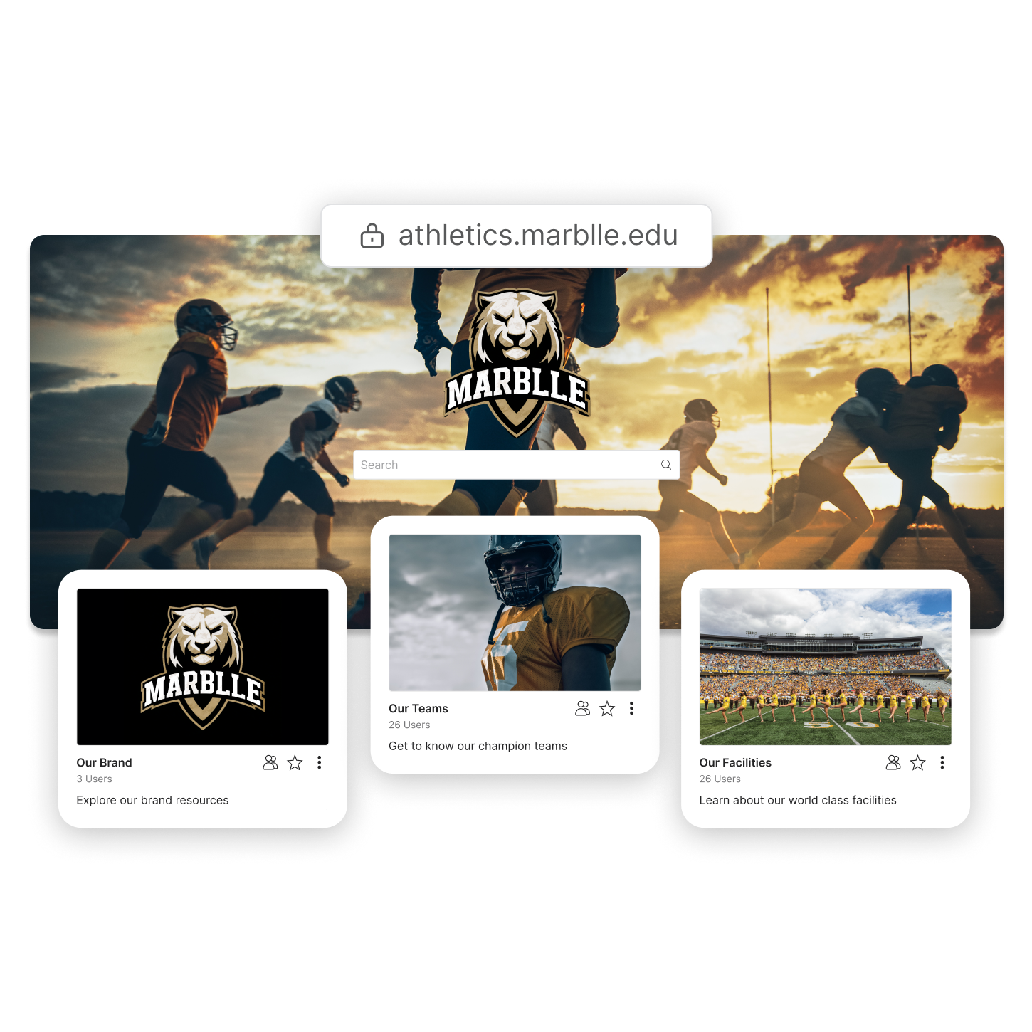 A customized brand portal for Marblle College with a custom domain and kits for brand, teams, and facilities.