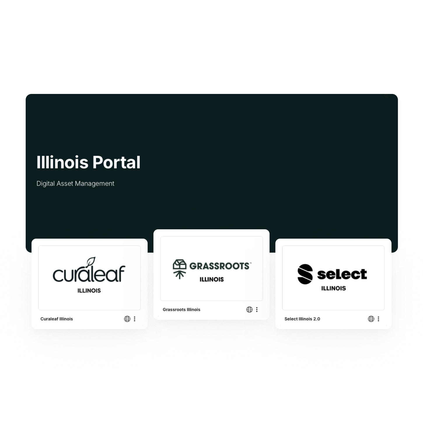 The Illinois brand portal for Curaleaf with state specific kits for distributing the brand content for their various brands.