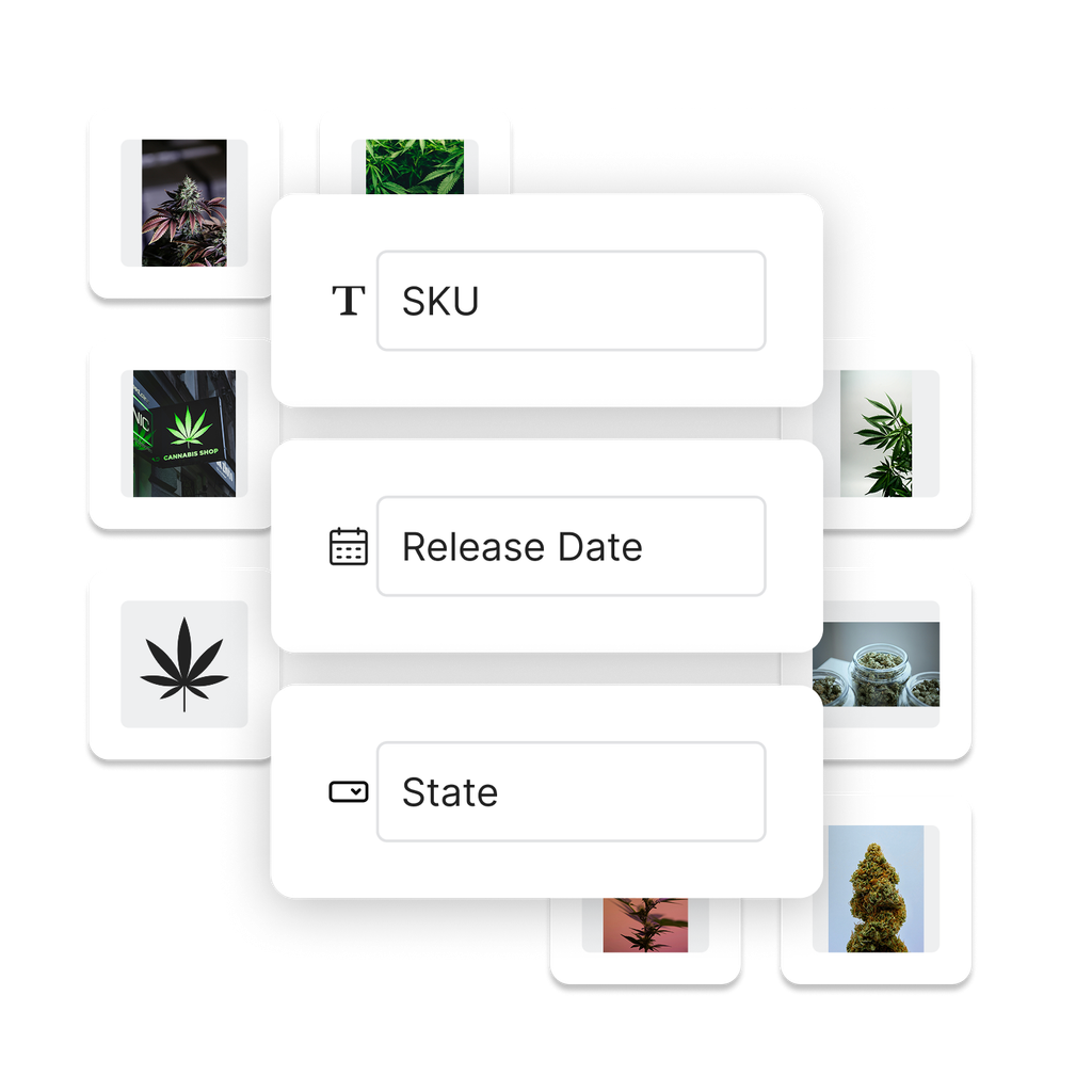 Input fields with text, calendar, and dropdown icons representing custom fields that can be applied to assets.