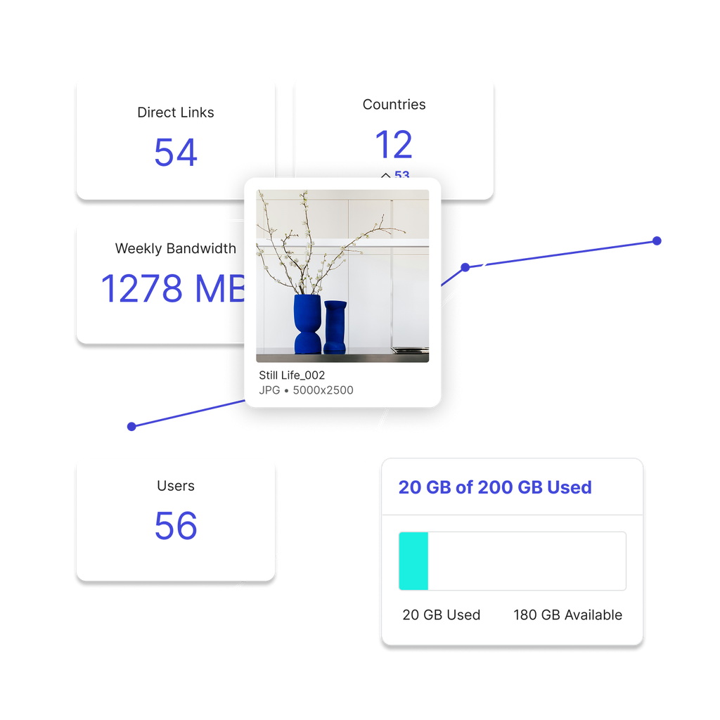 An image asset of a plant with statistics and a graph behind it including storage used, weekly bandwidth, users and countries.