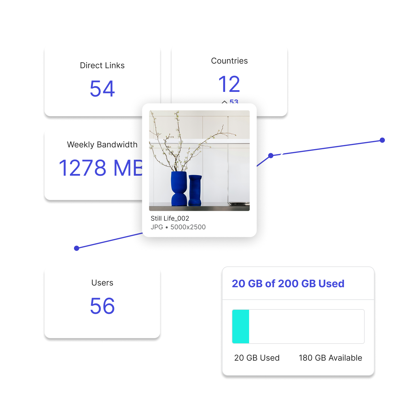 An image asset of a plant with statistics and a graph behind it including storage used, weekly bandwidth, users and countries.