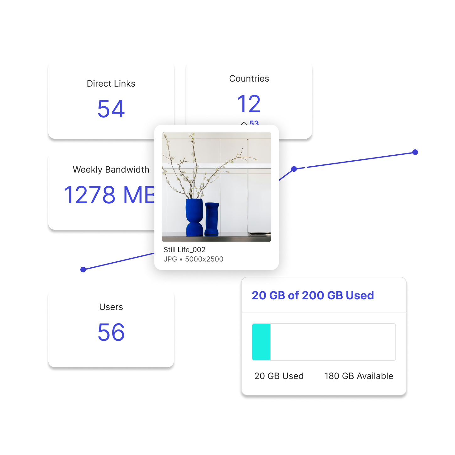 An image asset of a plant with statistics and a graph behind it including storage used, weekly bandwidth, users and countries.