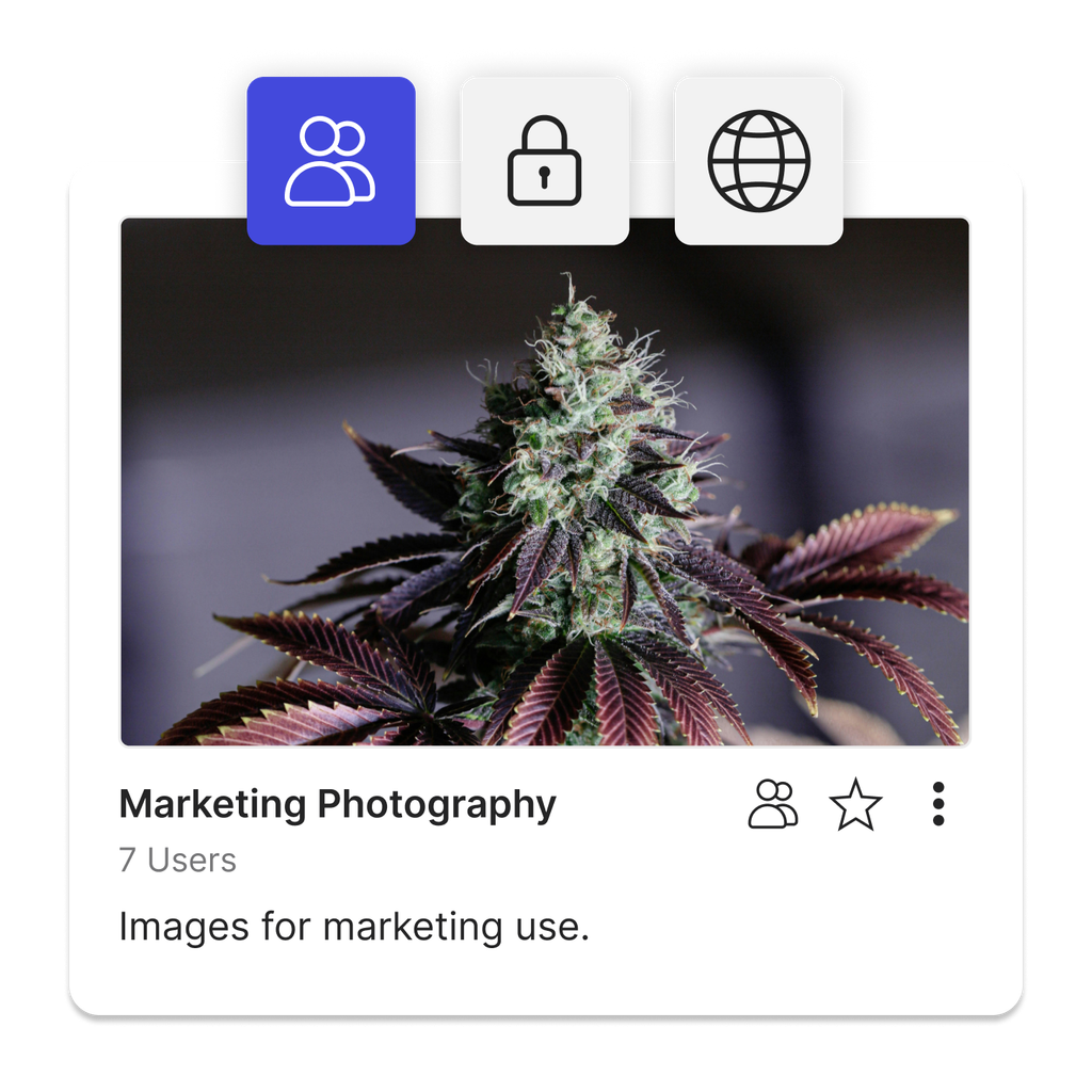 A Cannabis Marketing Photography kit with 3 tiles showing the various options for sharing including private, password protected and public.