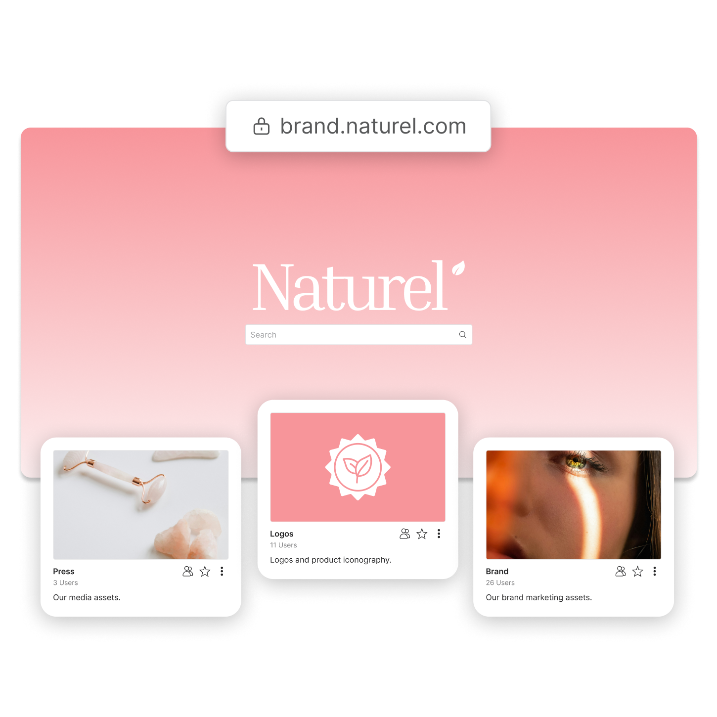 A customized brand portal for the Naturel skincare brand with a custom domain and kits for press, logos and their brand.