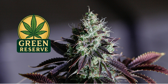 A Cannabis flower with a cannabis brand logo.